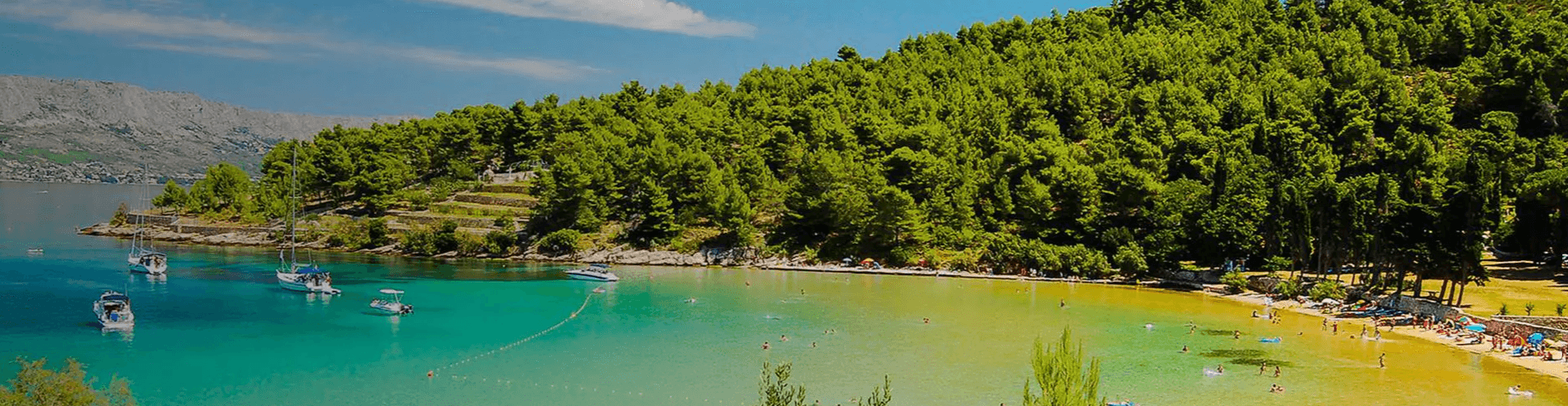 Recent Blogs - background banner