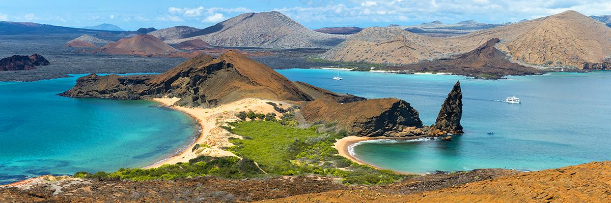 Quand l'évolution rencontre l'exploration suprême